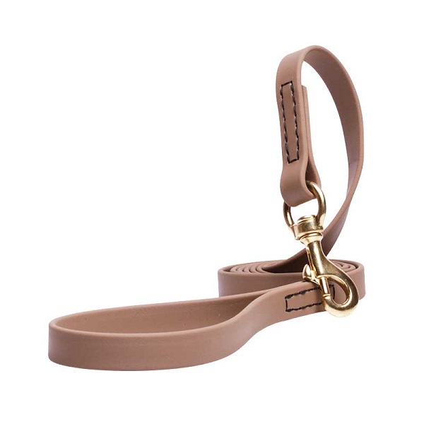 Dog Leash for Walking